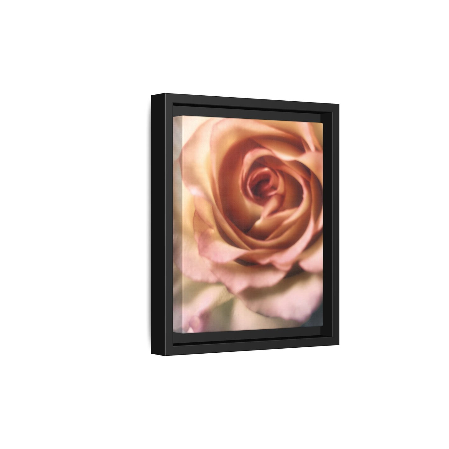 Romance Pink Rose Matte Framed Canvas