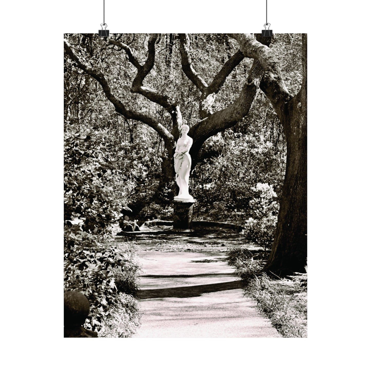 At the Center of the Garden Matte Posters