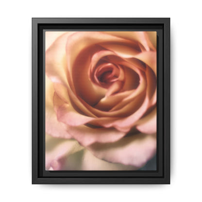Romance Pink Rose Matte Framed Canvas