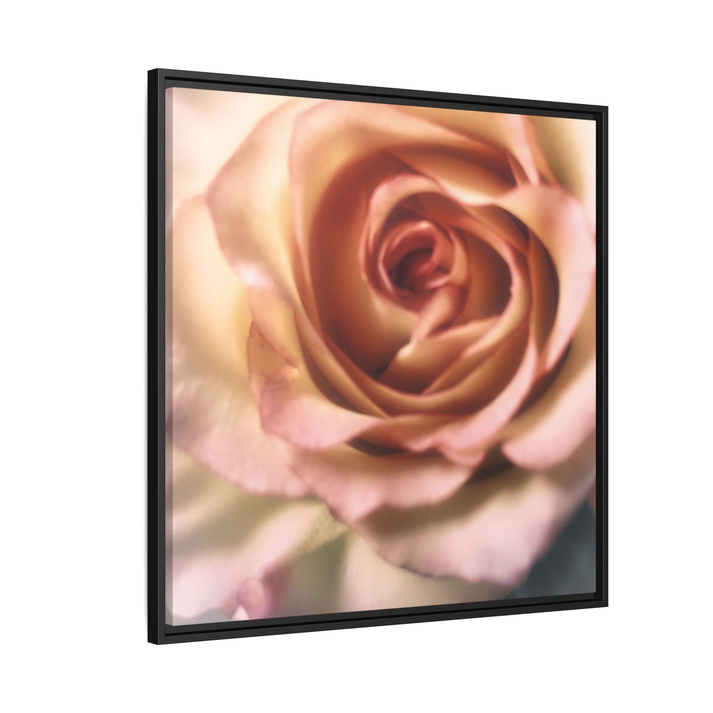 Romance Pink Rose Matte Framed Canvas