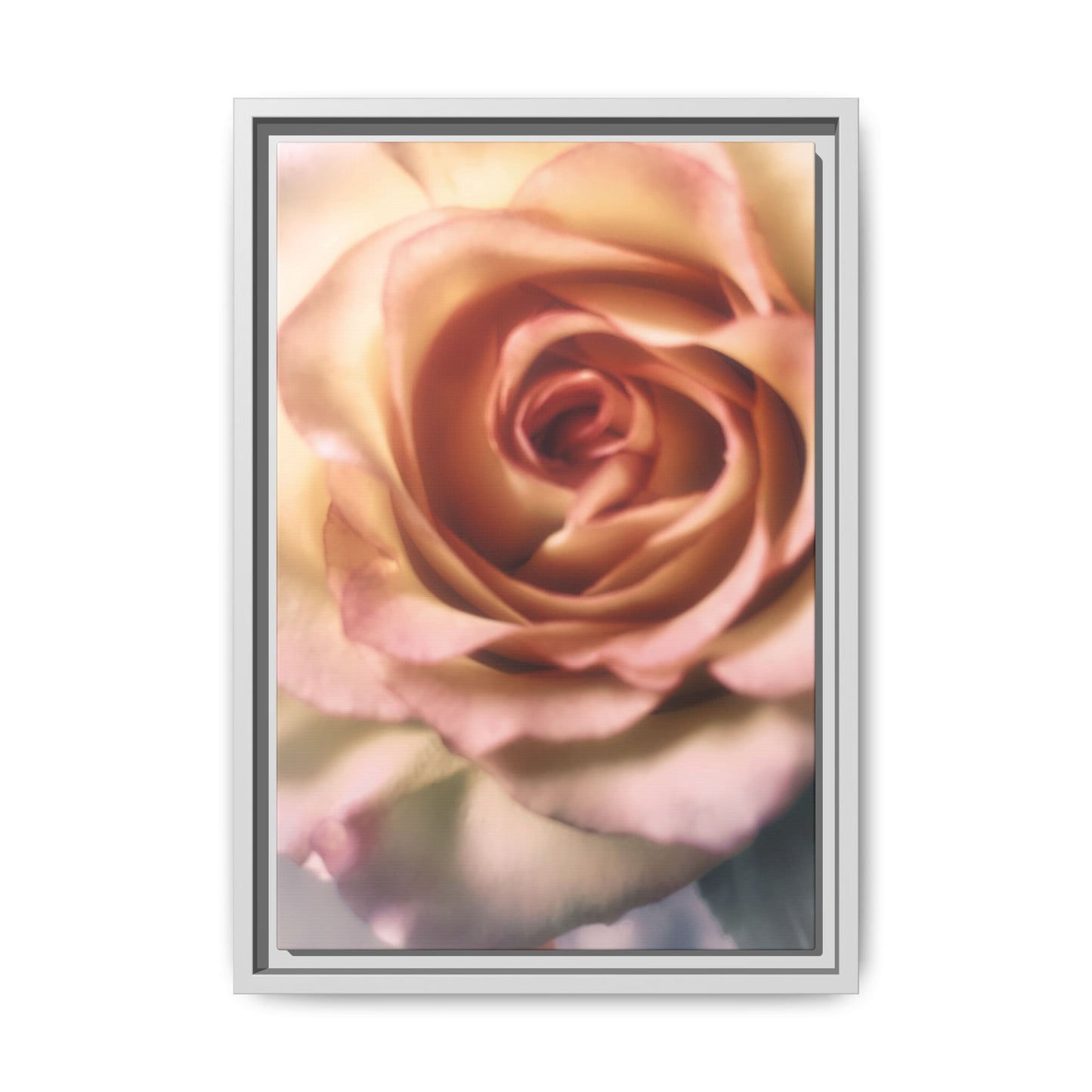 Romance Pink Rose Matte Framed Canvas