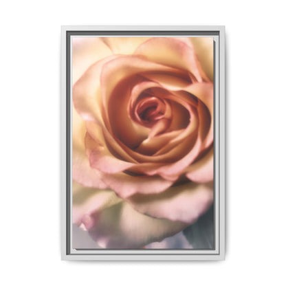 Romance Pink Rose Matte Framed Canvas
