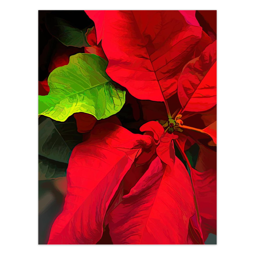 Poinsettia Folded Holiday Cards