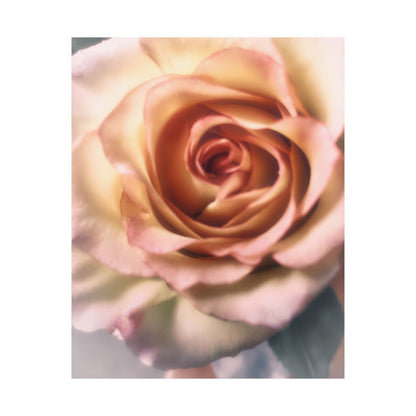 Romance Pink Rose Matte Posters