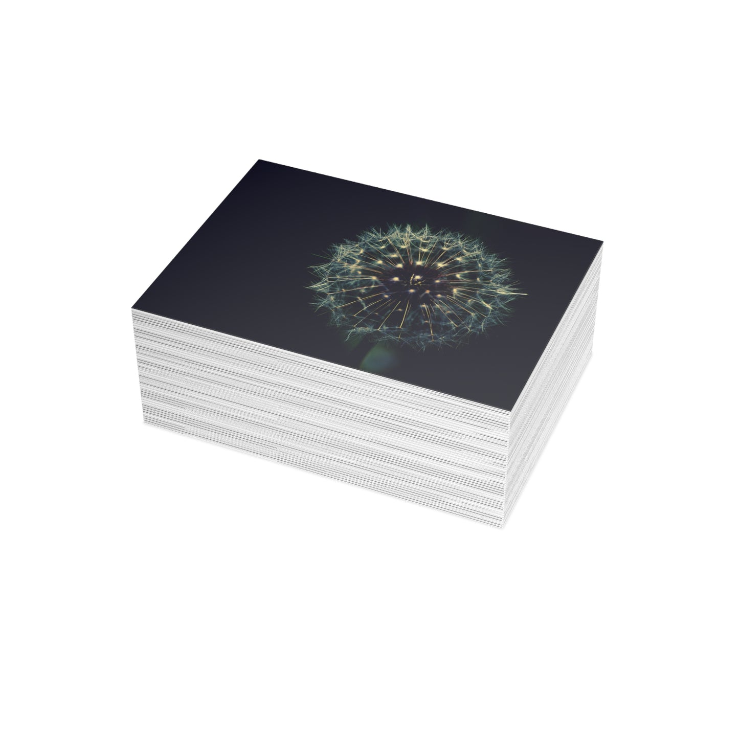 Dandelion Wishes Blank Greeting Cards