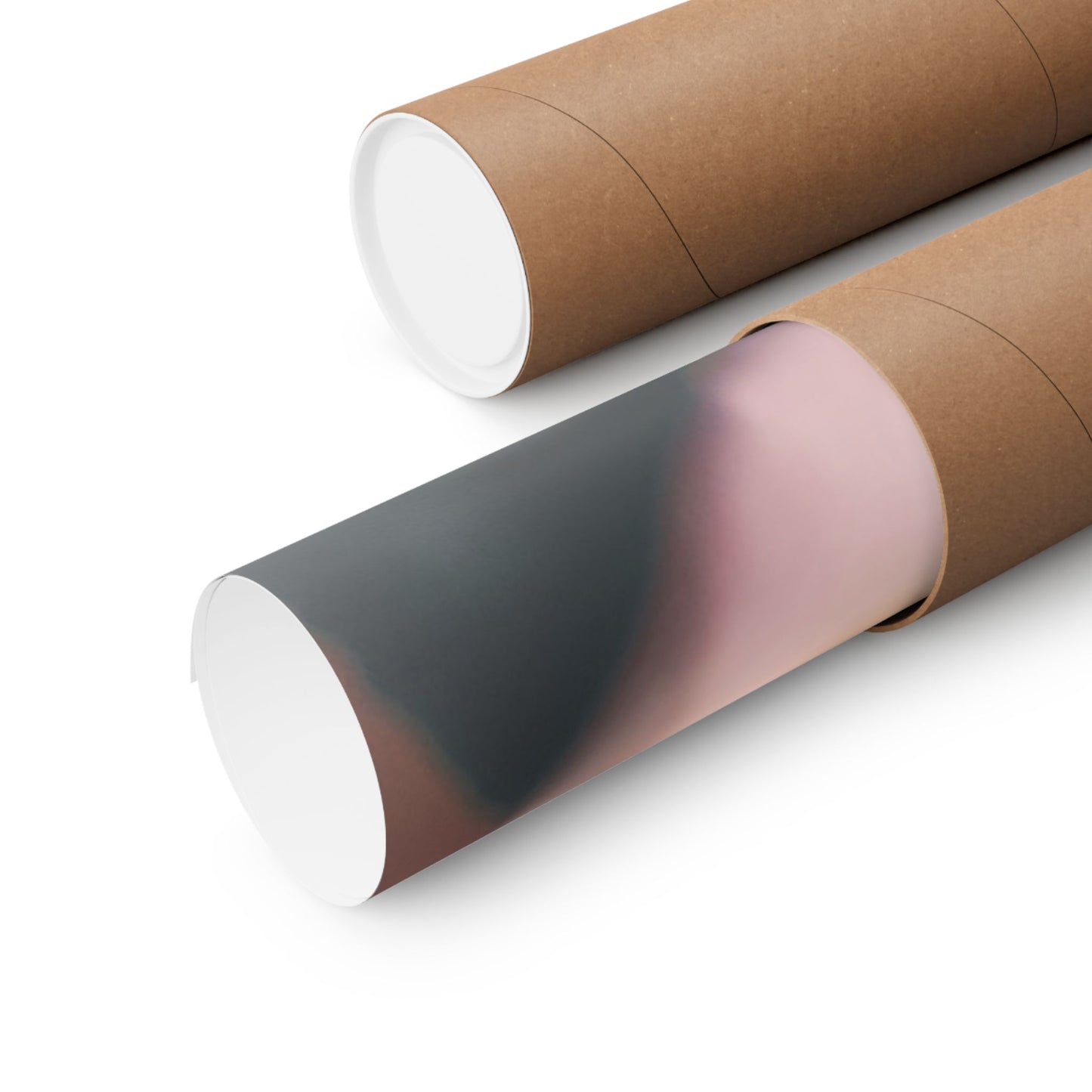 Romance Pink Rose Matte Posters