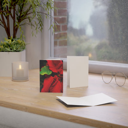 Poinsettia Blank Greeting Cards