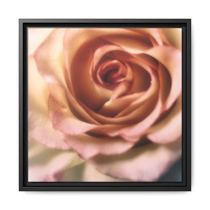Romance Pink Rose Matte Framed Canvas