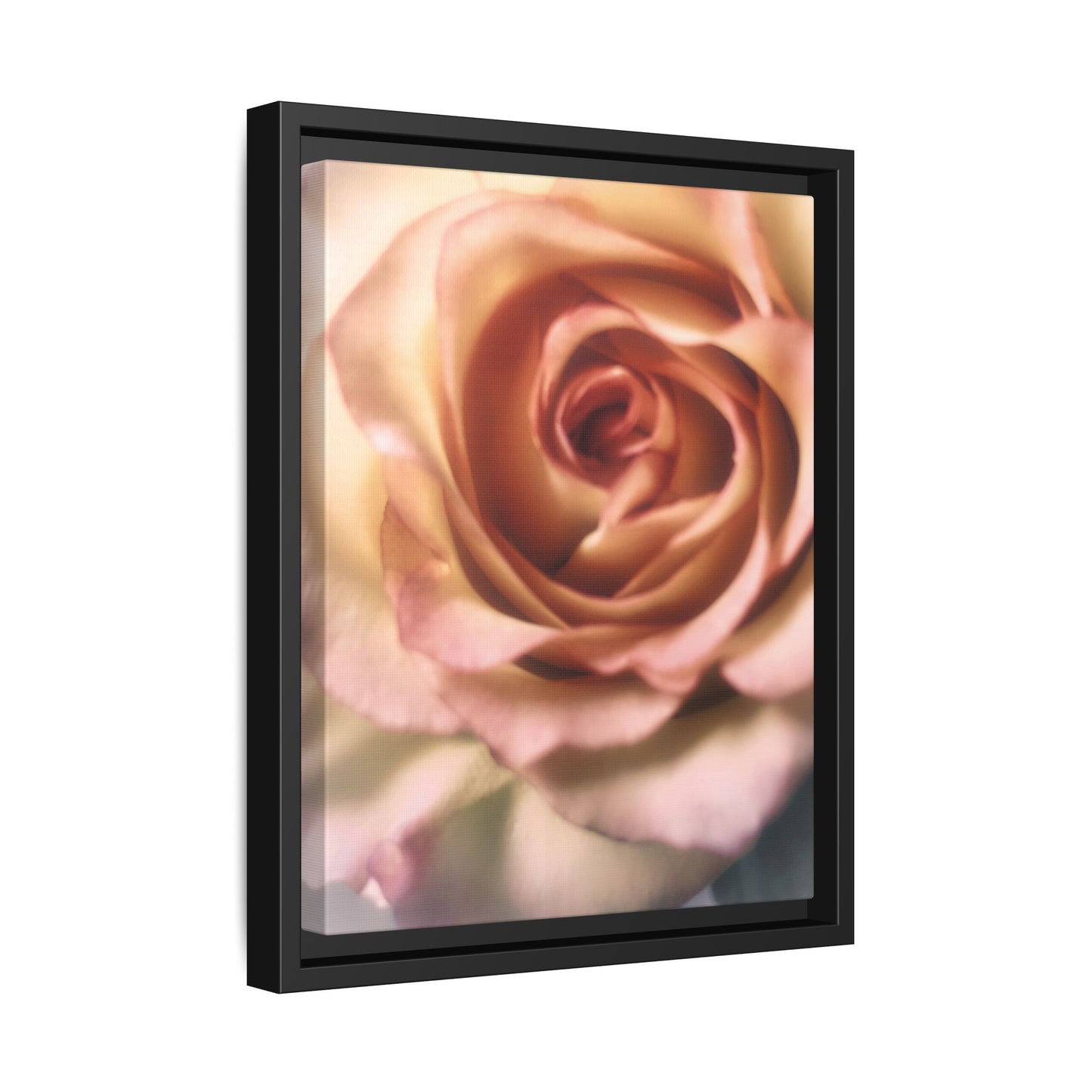 Romance Pink Rose Matte Framed Canvas