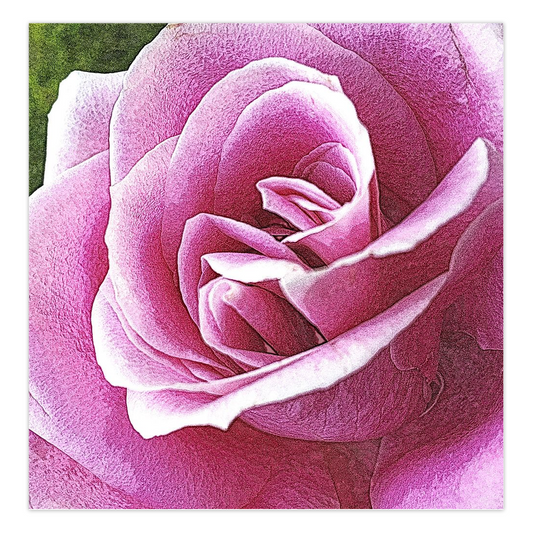 Pink Rose Square Folded Cards