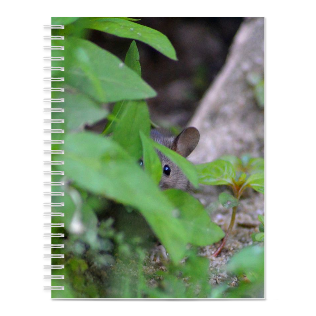 Peeking Mouse Notebooks